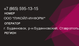 8655951315